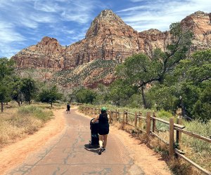 A trip to Zion offers many opportunities for families to explore, learn, and connect with the park.