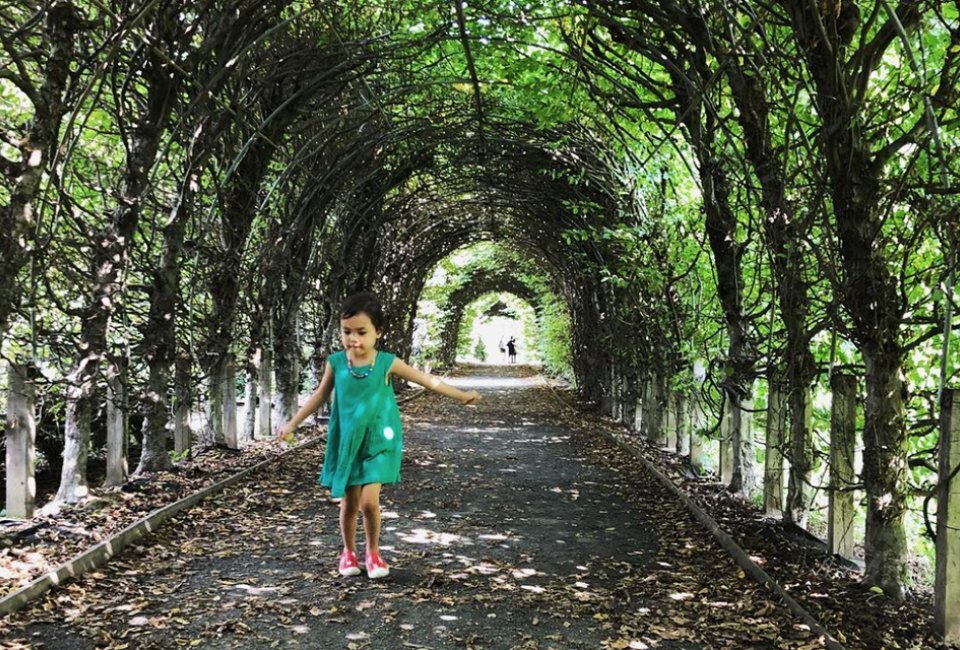51 Top Things To Do in Staten Island with Kids Breeze through the allee at the Snug Harbor Botanical Gardens. This beautiful tunnel of Hornbeam trees is just one of its stunning feature. Photo courtesy of Snug Harbor
