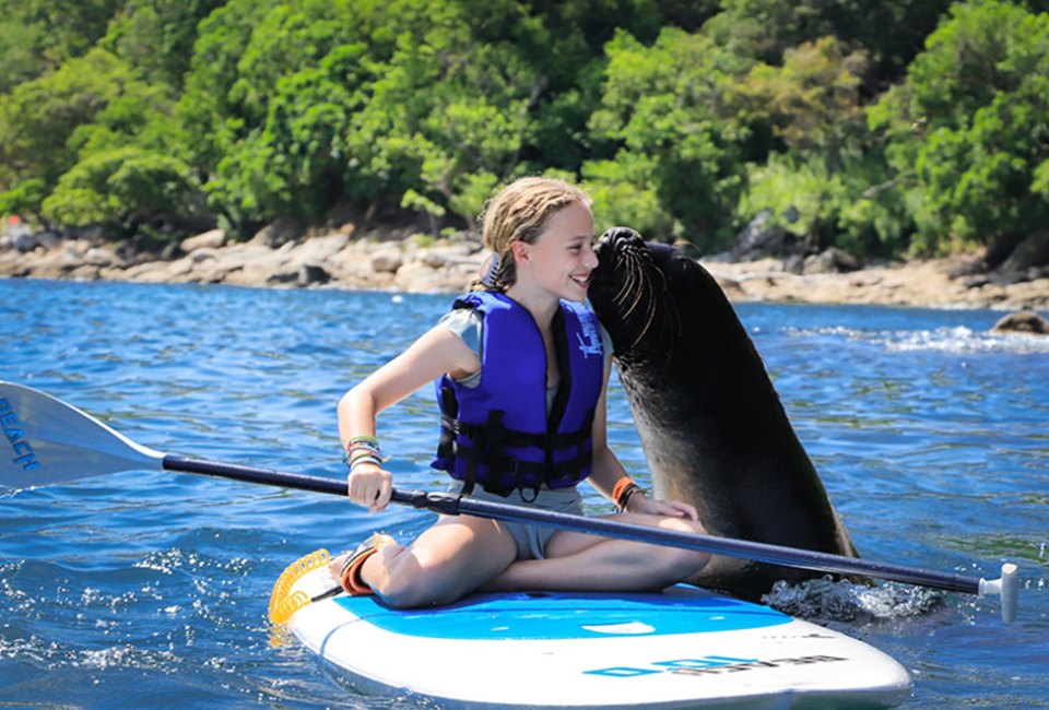 Puerto Vallarta with Kids: 21 Best Things To Do in Puerto Vallarta, Mexico Paddleboarding is even more fun when you do it with a sea lion. Photo courtesy Vallarta Adventures